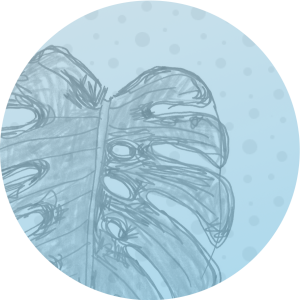 monstera watermark