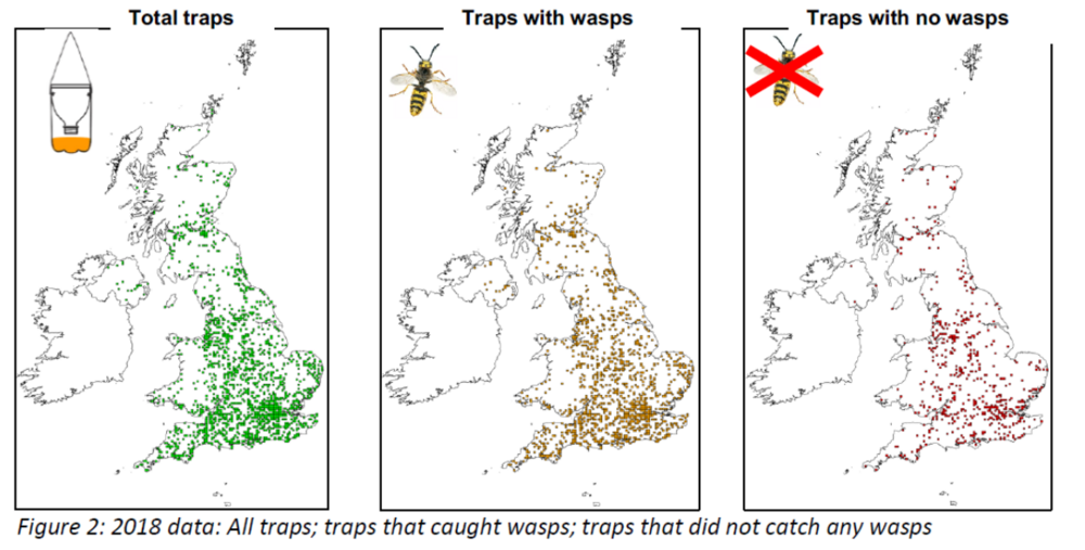 Mapping