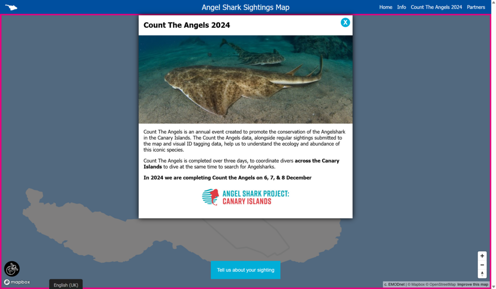 Count the angel sharks 2024
