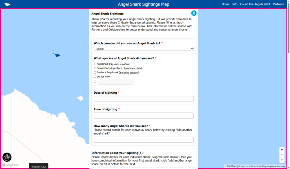 Angel sharks reporting