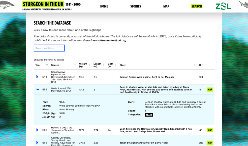 Sturgeon in the UK database
