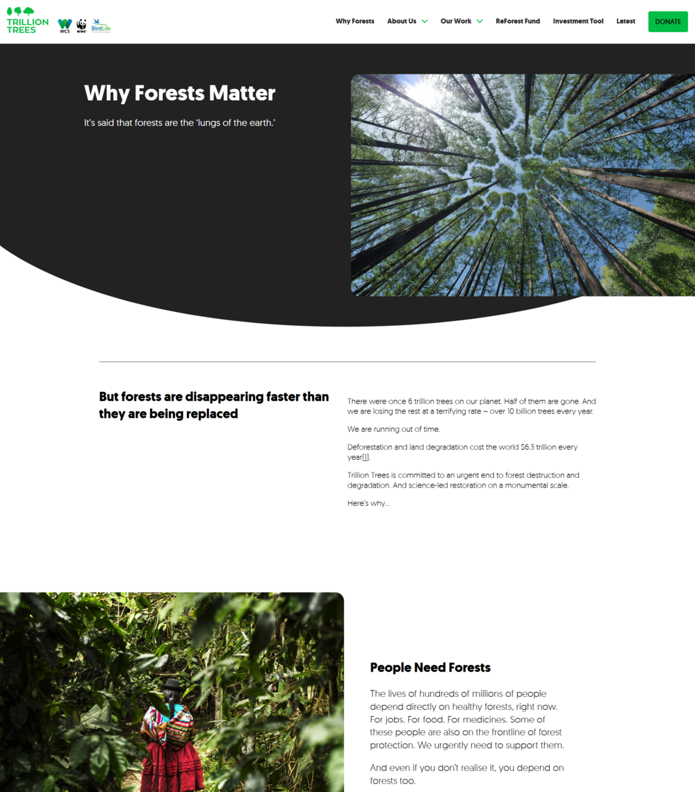 Trillion Trees why forests matter screenshot