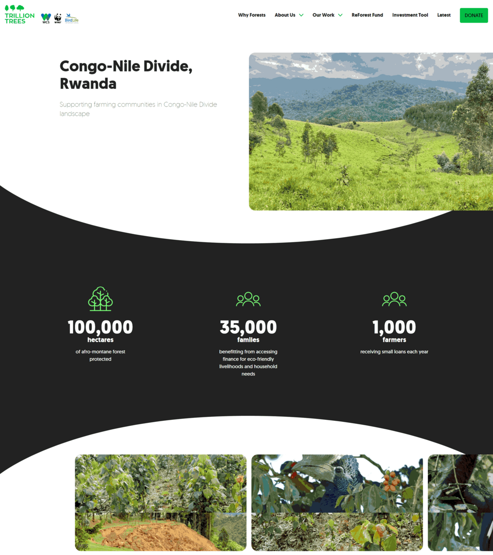 Trillion Trees_Congo Nile Divide Rwanda intro