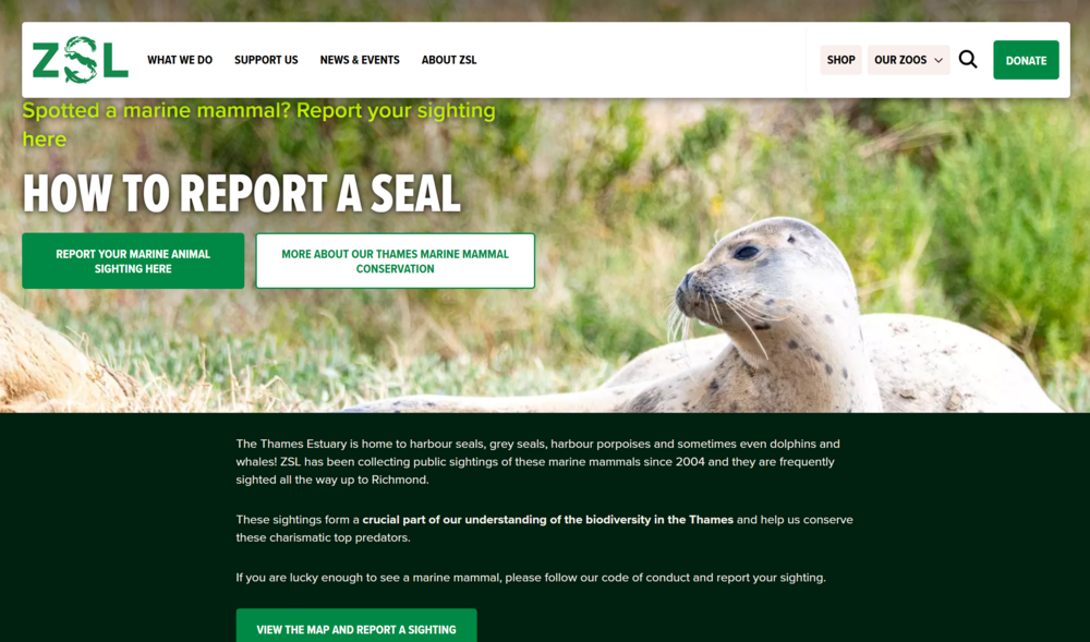 ZSL report a sighting