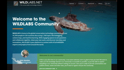 WILDLABS gif