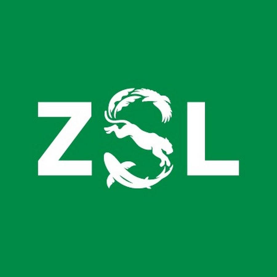 ZSL simple logo