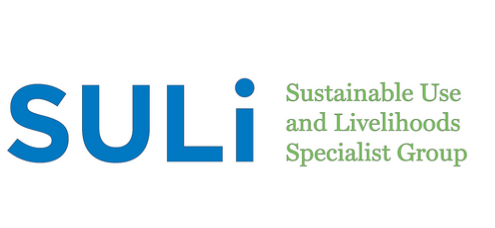 Suli logo