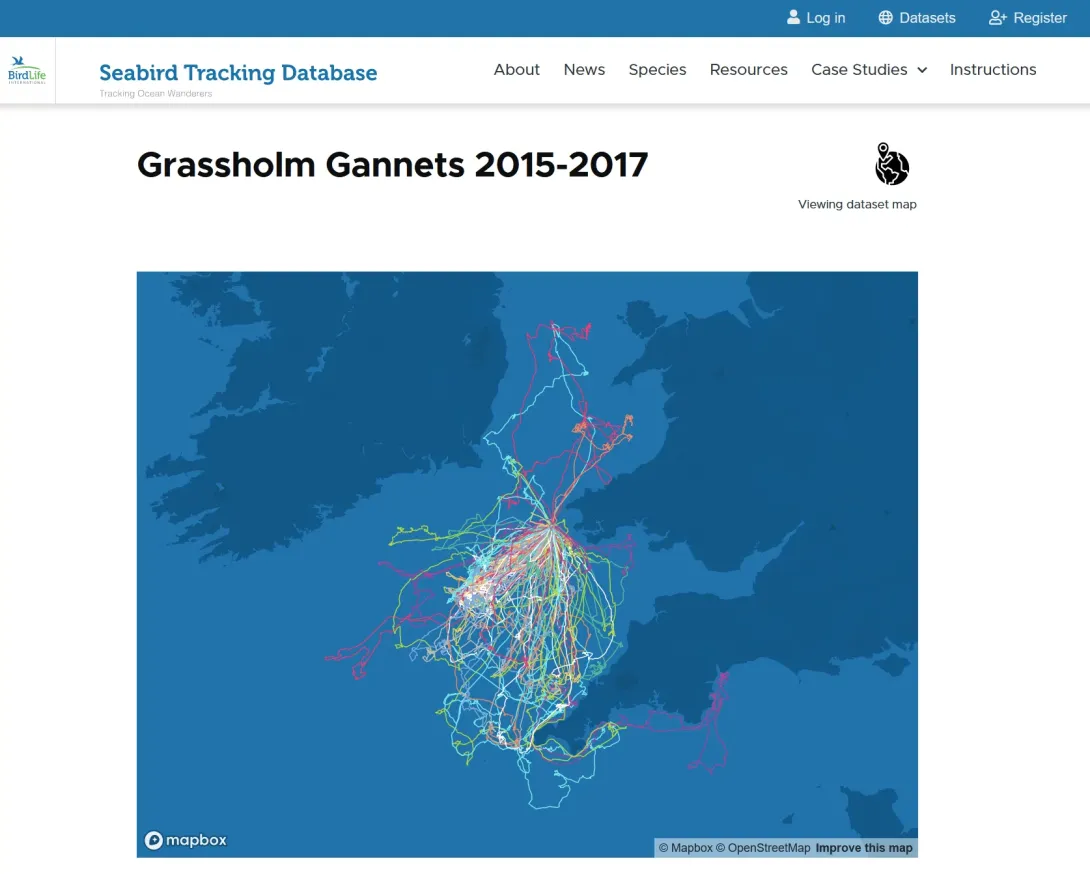 Seabird Tracking