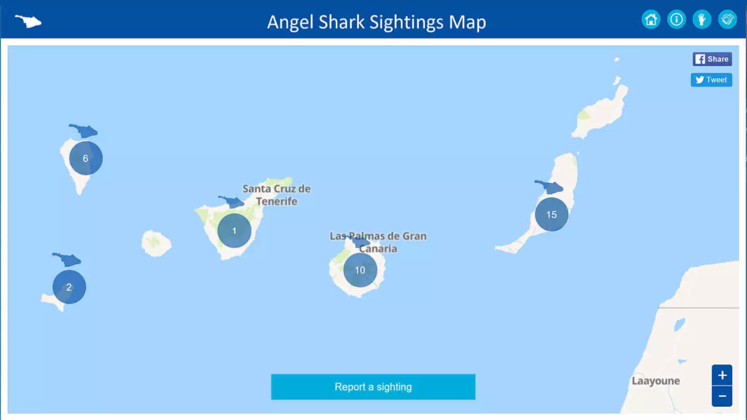Angel sharks sighting map