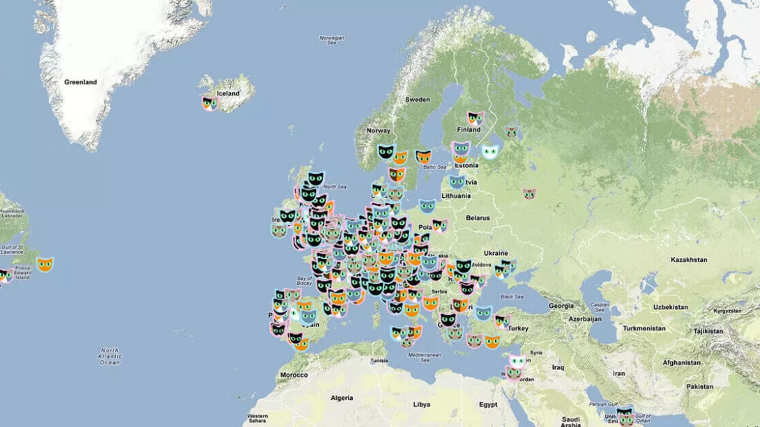 Cat map world map