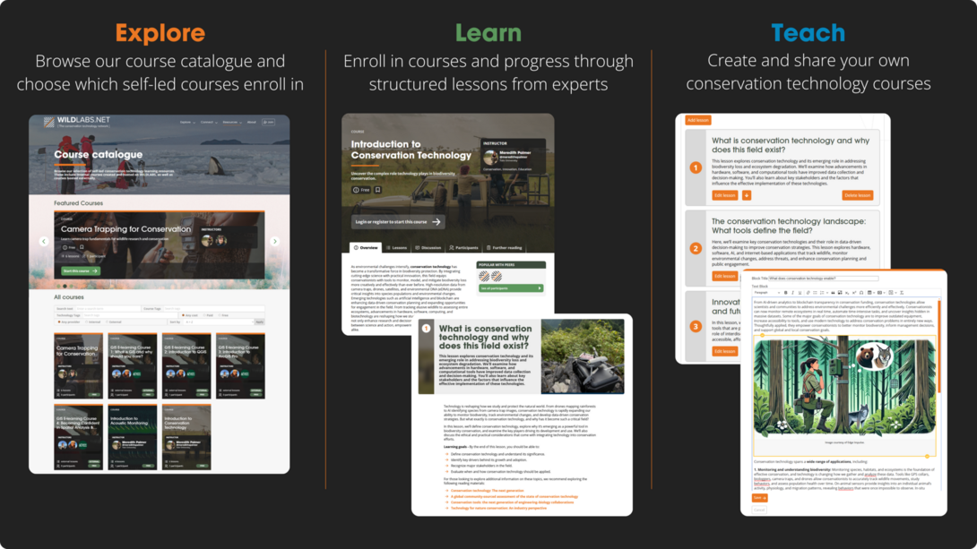 WILDLABS courses